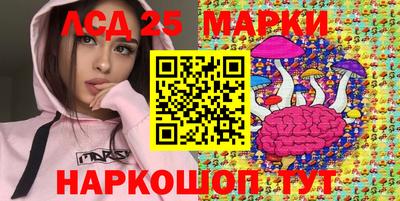 гидра Новодвинск