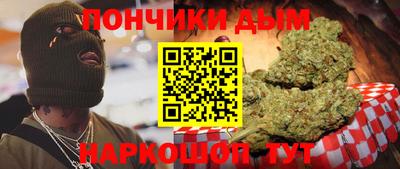 гидра Новодвинск