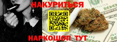 гидра Новодвинск