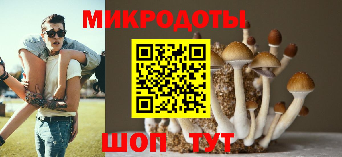 Галлюциногенные грибы ЛСД  Галлюциногенные грибы прущие грибы  дарнет шоп  Вход с VPN  Ставрополь 