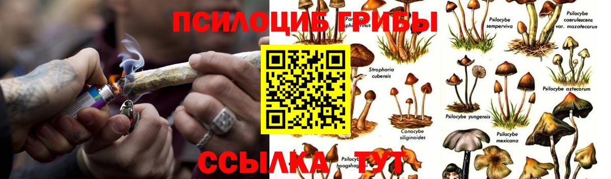 Псилоцибиновые грибы Magic Shrooms Ставрополь