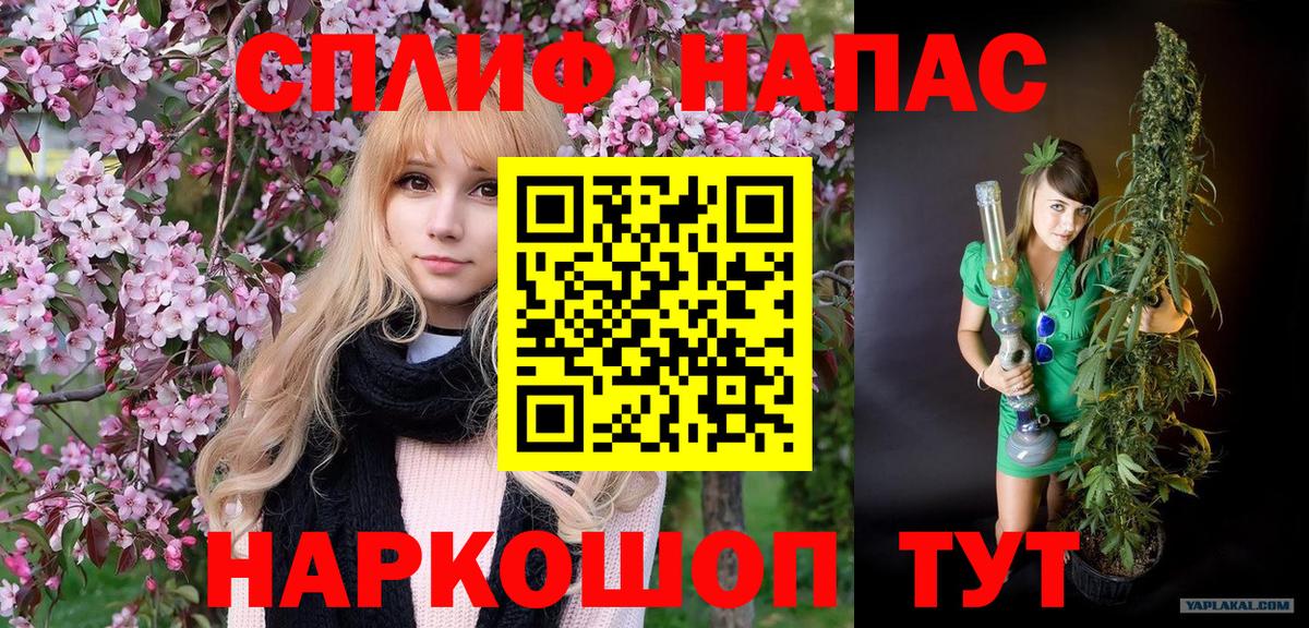 Бошки марихуана Bruce Banner Ставрополь